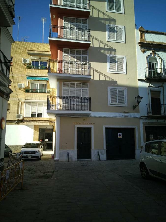 Triana Ruisenor Sevilha